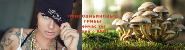 амф Армянск
