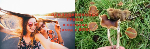 амф Армянск