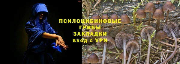 герыч Арсеньев