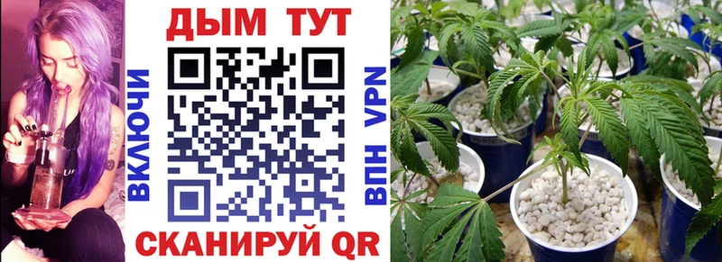 Марихуана тримм  купить закладку  Сосновка 